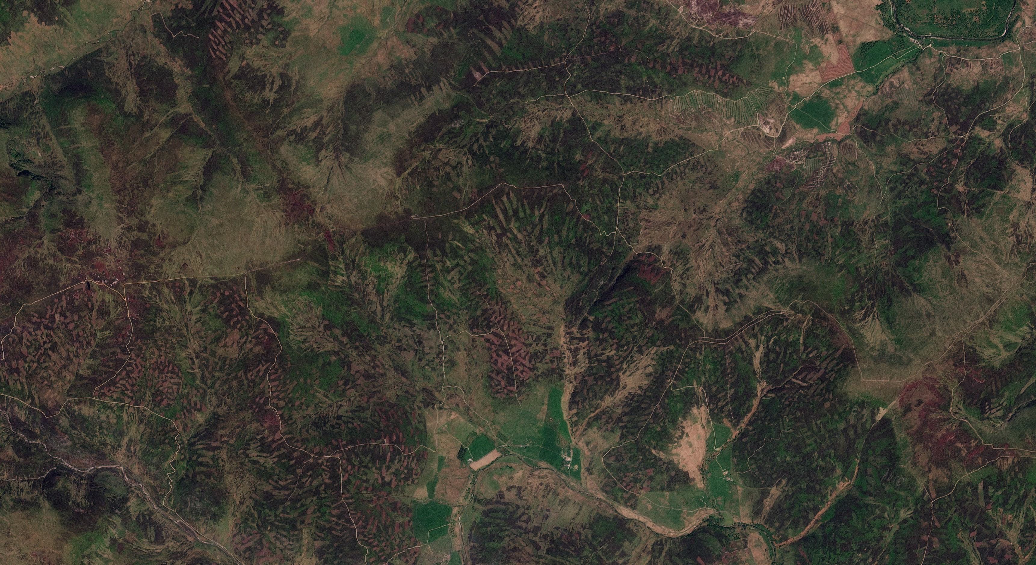 20230529_105117_00_2276_3B_Visual - cropped