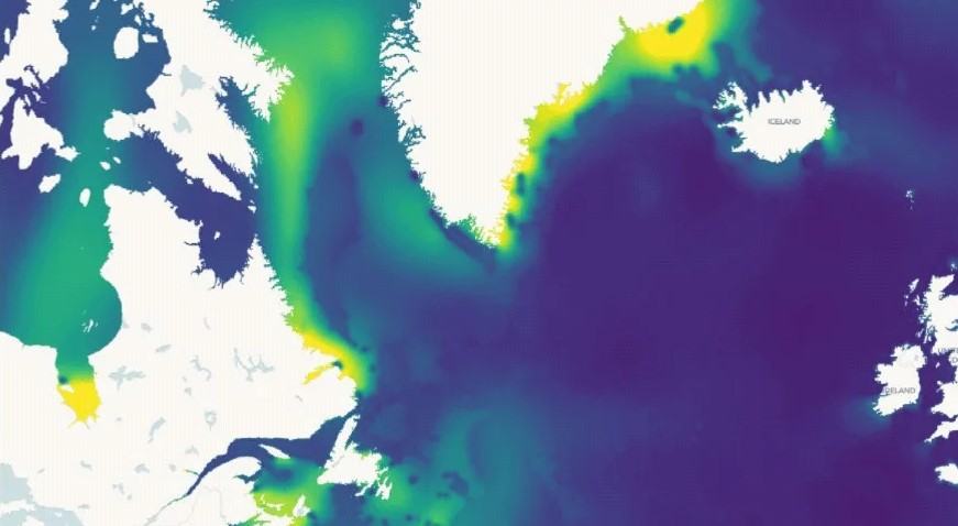 sea-surface-temperature